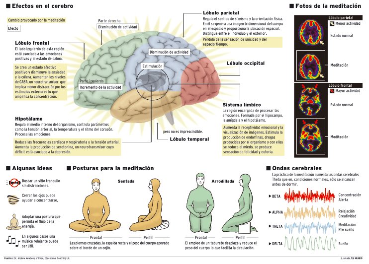 Estudios sobre la meditación